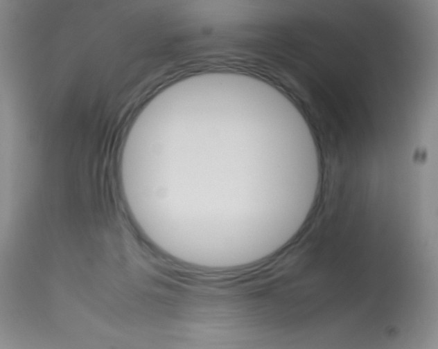 X0000113750217200910211154