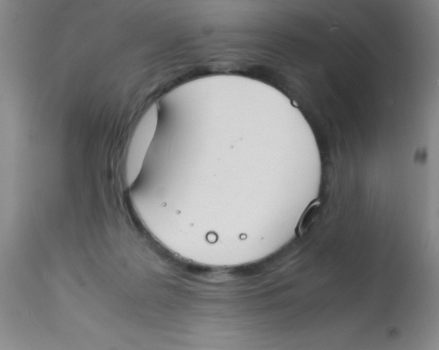 X0000113750219200910211154