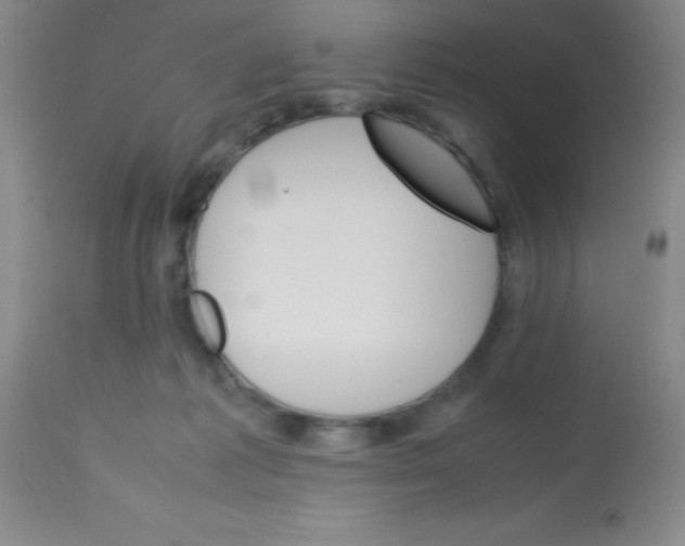 X0000113750221200910211153