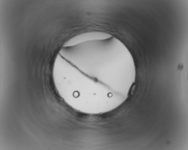 X0000113750223200910211153