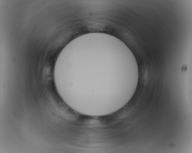 X0000113750224200910211153