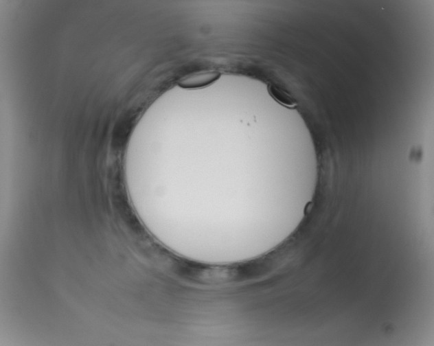 X0000113750225200910211153