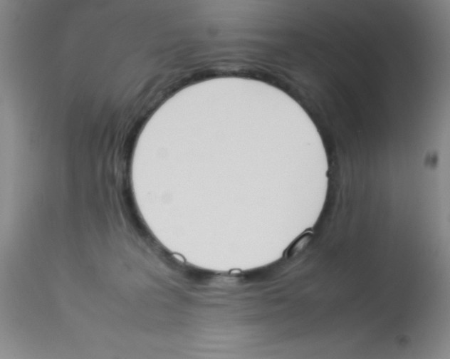 X0000113750227200910211153