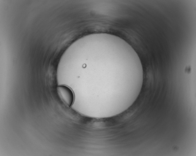 X0000113750228200910211153