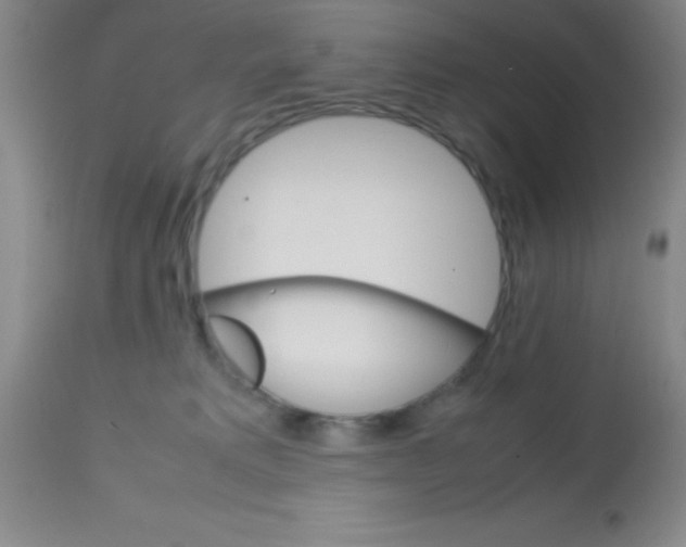 X0000113750229200910211153