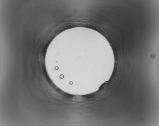 X0000113750231200910211153