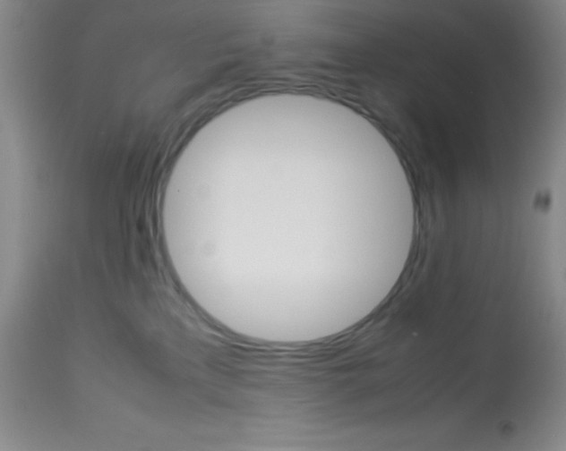 X0000113750233200910211153