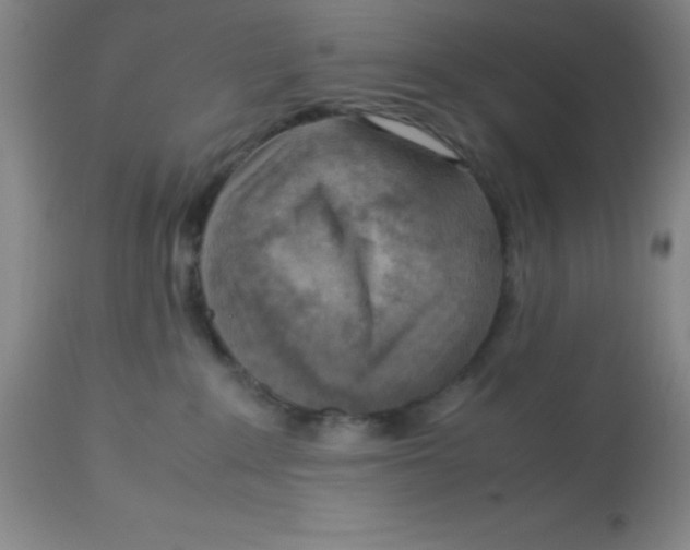 X0000113750235200910211153