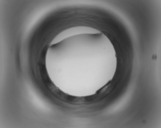 X0000113750239200910211153