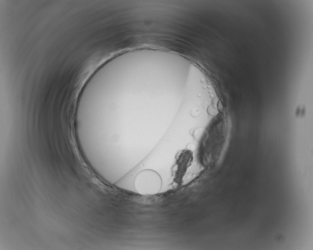 X0000113750241200910211152