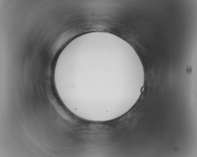 X0000113750242200910211152