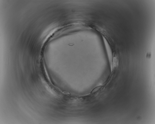 X0000113750243200910211152