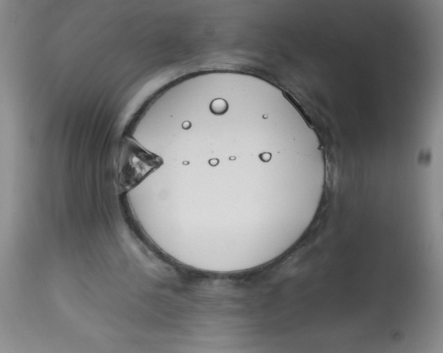 X0000113750244200910211152