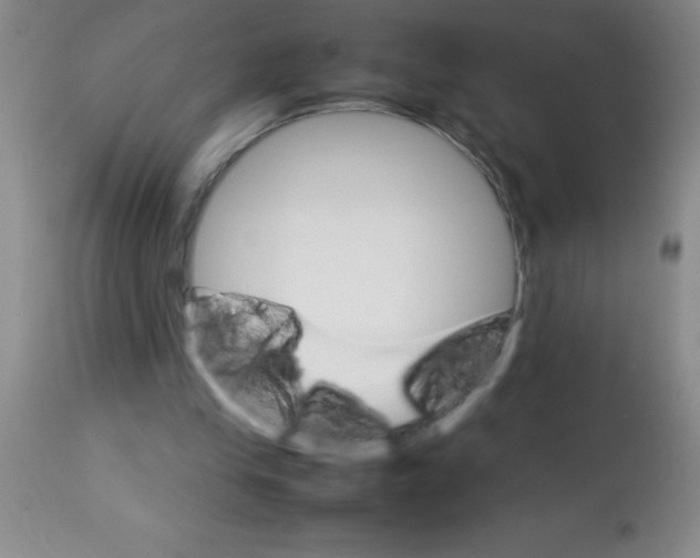 X0000113750245200910211152