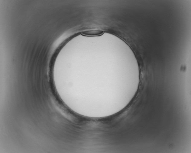 X0000113750246200910211152