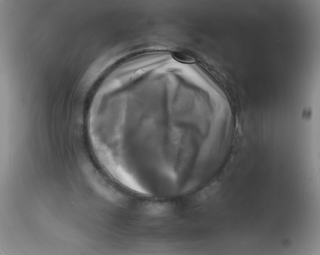 X0000113750247200910211152