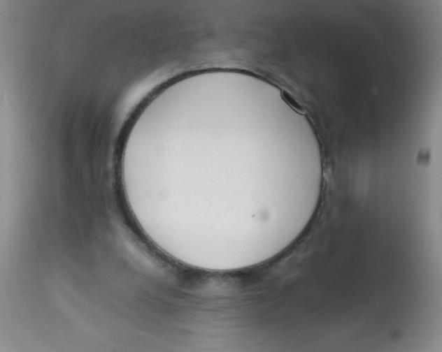 X0000113750248200910211153