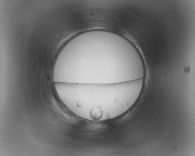 X0000113750249200910211153