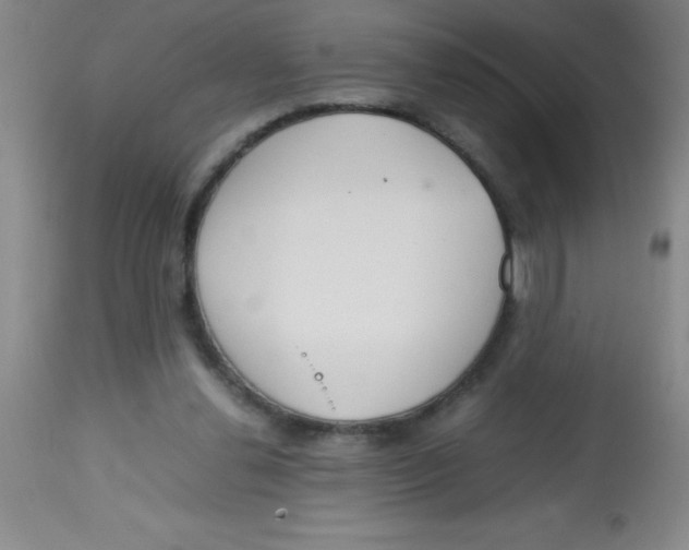 X0000113750252200910211153