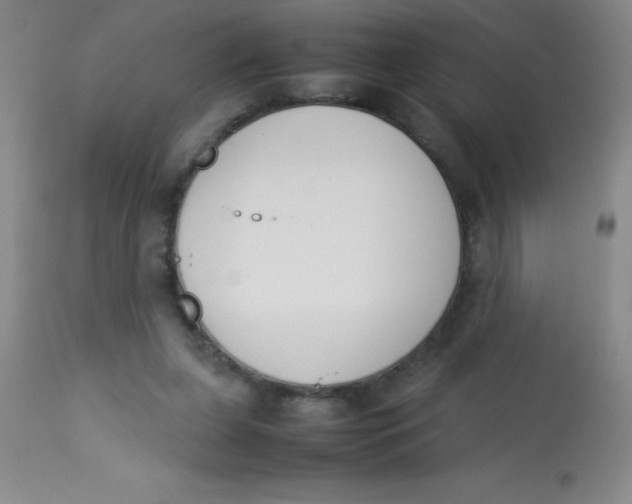 X0000113750255200910211153