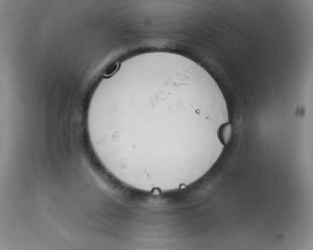 X0000113750256200910211153