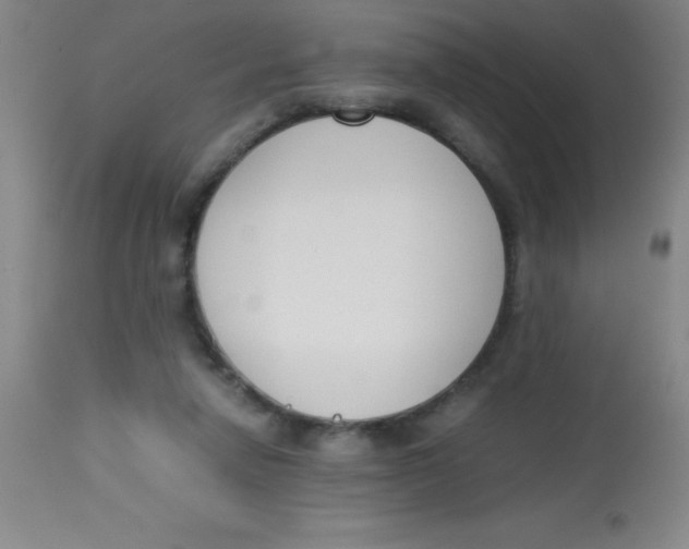 X0000113750258200910211153