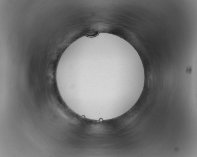 X0000113750259200910211153