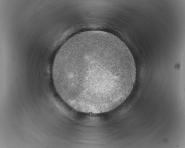 X0000113750260200910211153