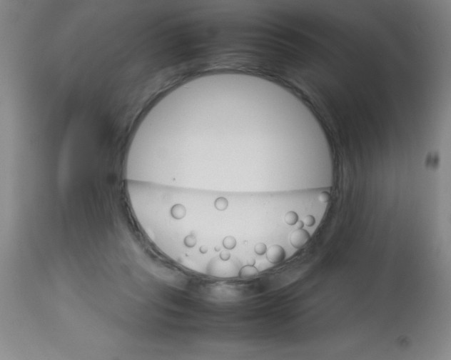 X0000113750261200910211153