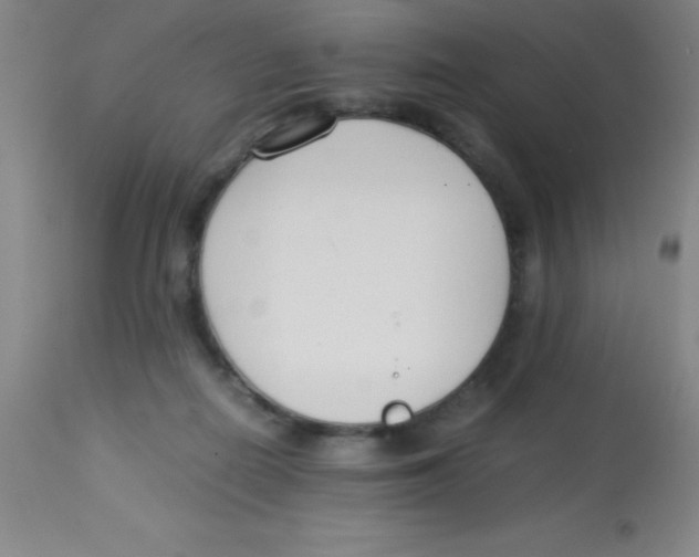 X0000113750266200910211153