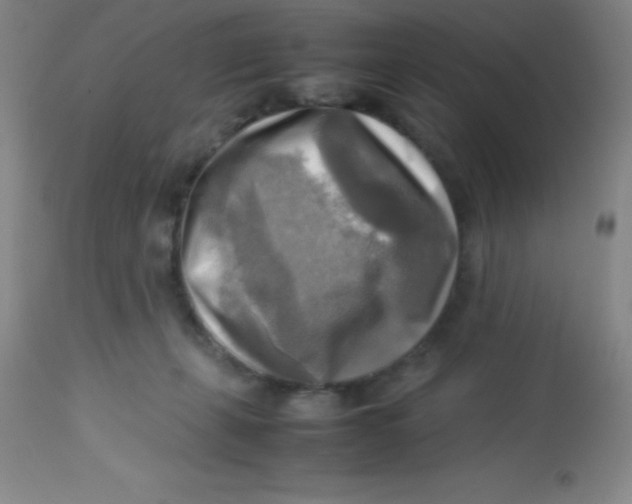 X0000113750271200910211153