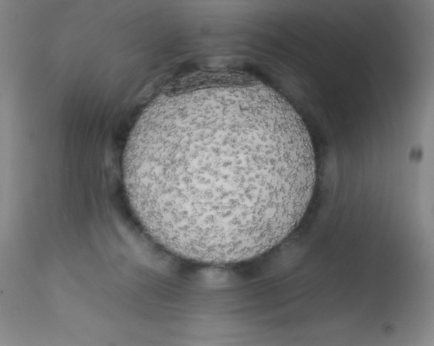 X0000113750272200910211153