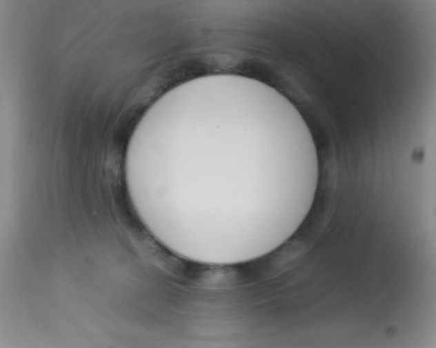 X0000113750274200910211153