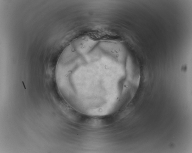 X0000113750276200910211153