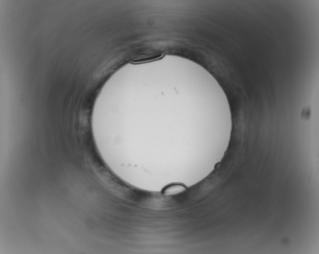 X0000113750278200910211153