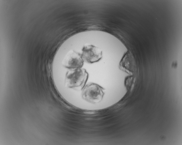 X0000113750281200910211153