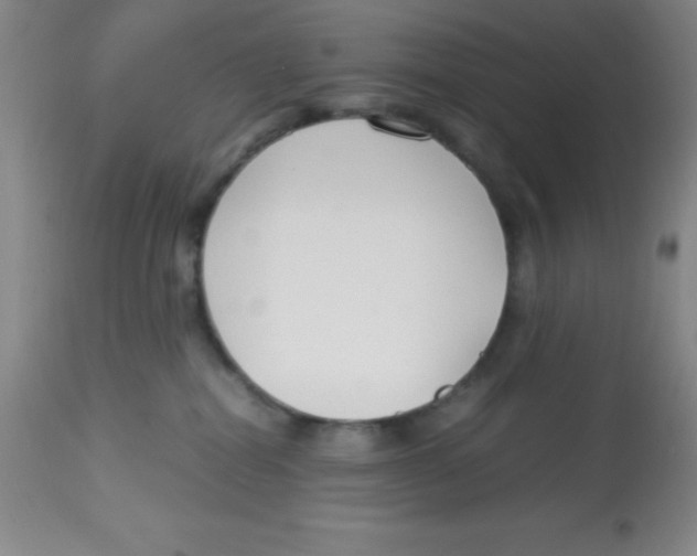 X0000113750282200910211153