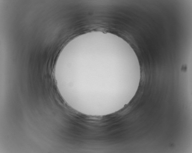 X0000113750285200910211153