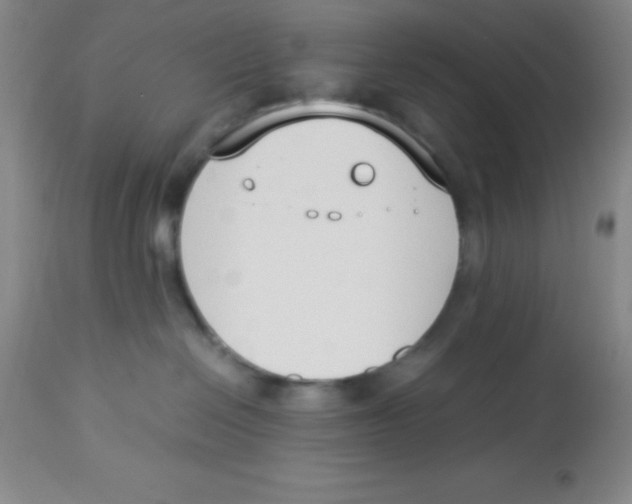 X0000113750286200910211153