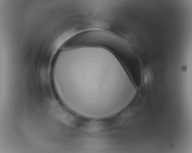 X0000113750292200910211152