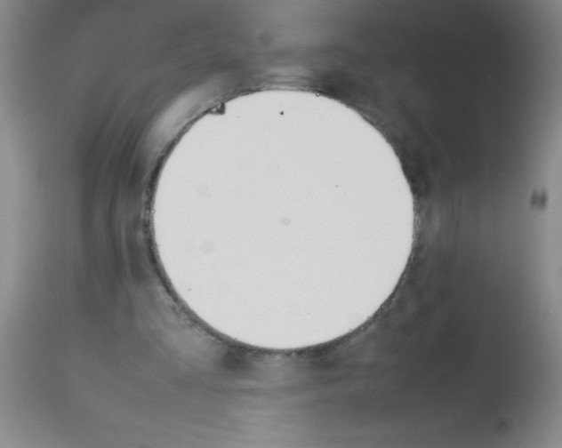 X0000113750293200910211152