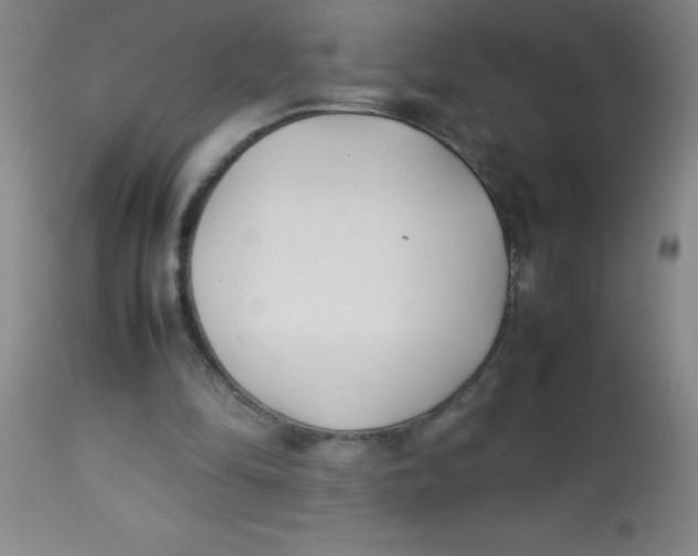 X0000113750294200910211152