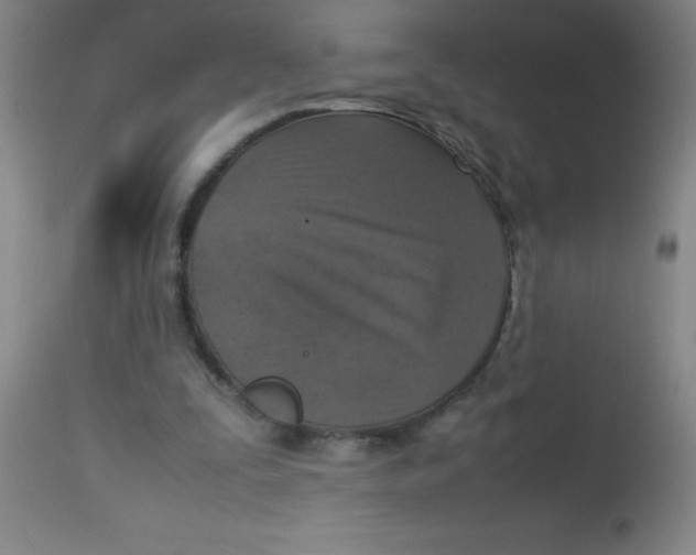 X0000113750295200910211152