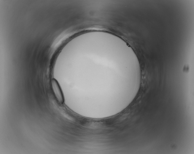 X0000113750296200910211152