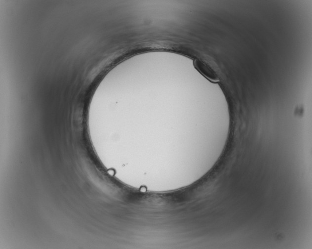 X0000113750299200910211152