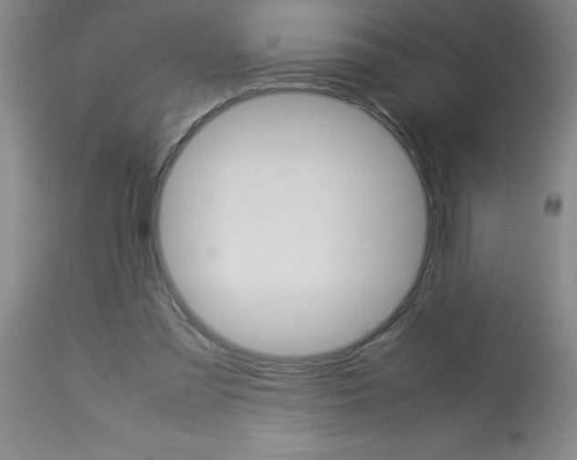 X0000113750301200910211152