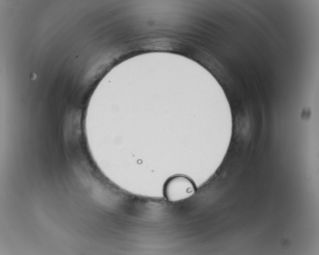 X0000113750302200910211152