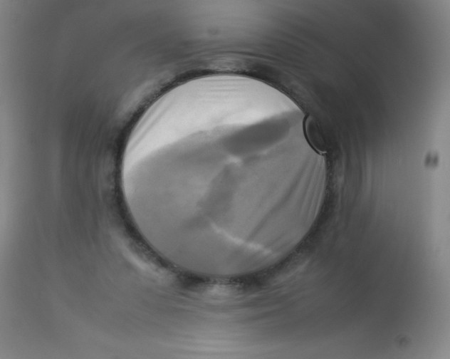 X0000113750303200910211152