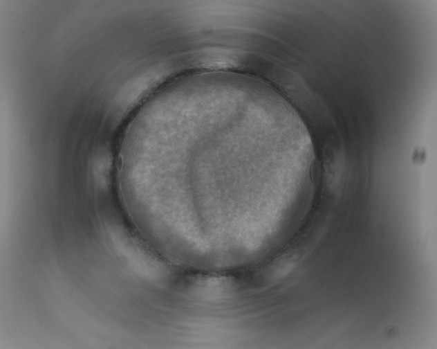 X0000113750304200910211152