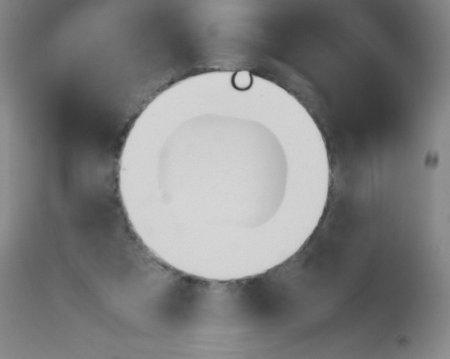 X0000113750305200910211152